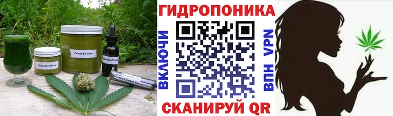 Cannafood конопля  Купить закладки  Малгобек 