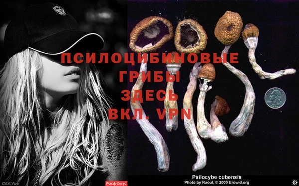 марихуана Касимов