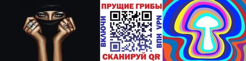 Псилоцибиновые грибы мицелий  Купить где  Малгобек 