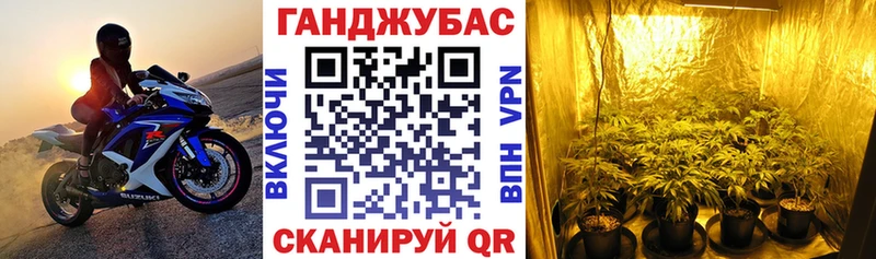 Купить закладки  Малгобек  Канабис тримм 